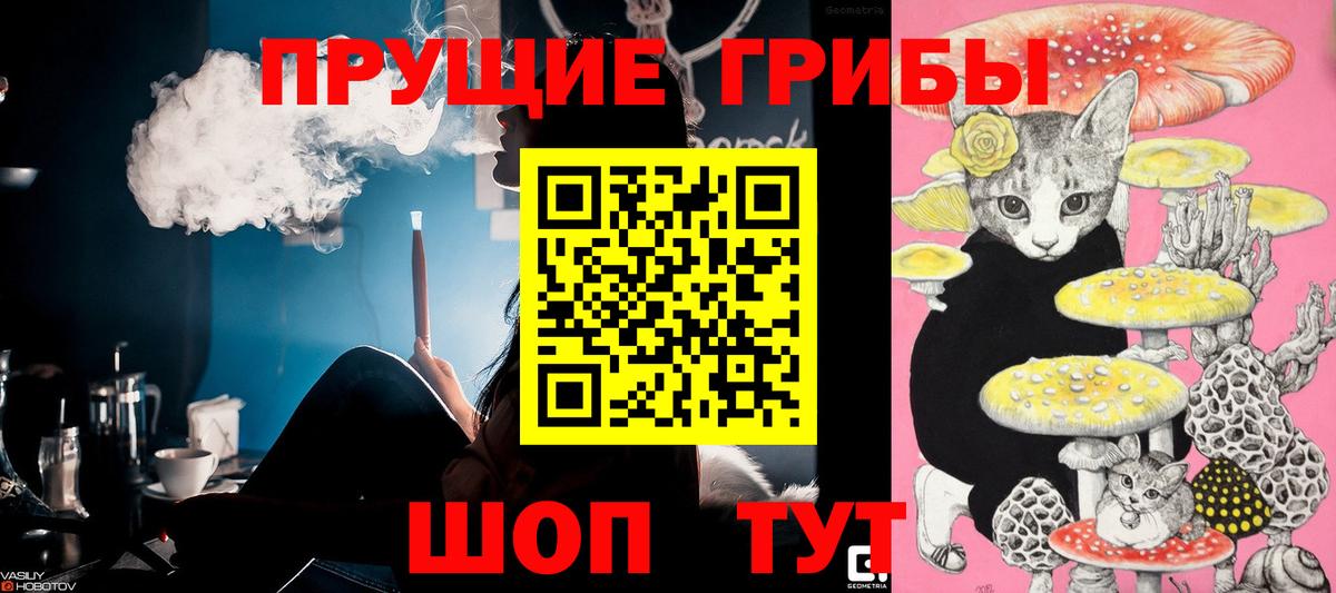 Галлюциногенные грибы мицелий Чайковский