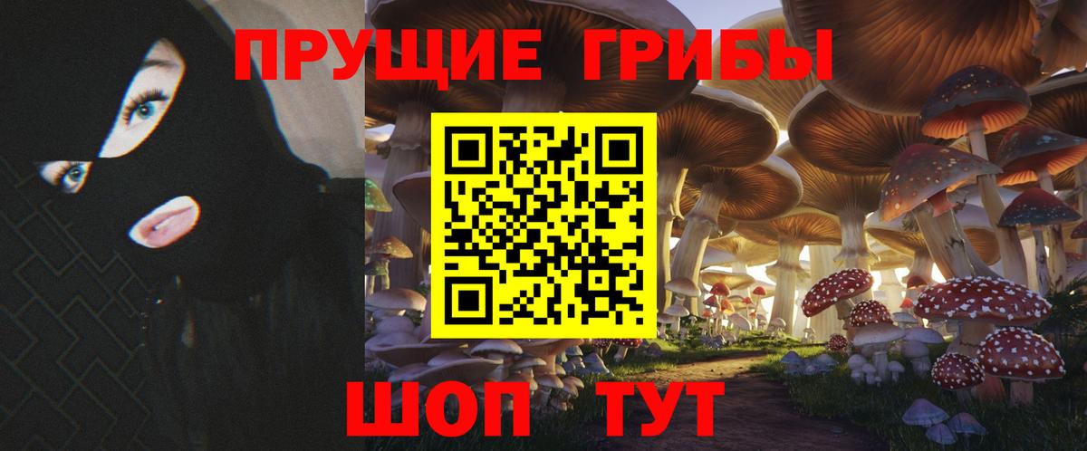 Галлюциногенные грибы Cubensis  Псилоцибиновые грибы Magic Shrooms  Вход с VPN  Чайковский 